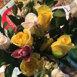 Meet your Posher, Hiba